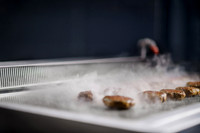 Apace-Grills-Product0155-adj